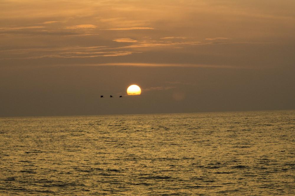 Alleppey beach